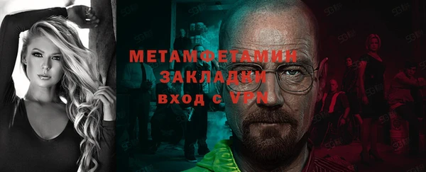 сатива Волоколамск