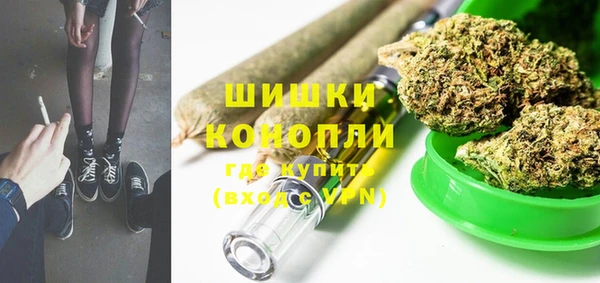 сатива Волоколамск