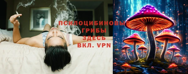 соль ск Володарск