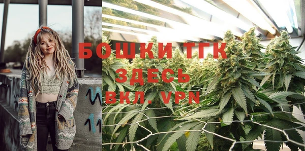 сатива Волоколамск