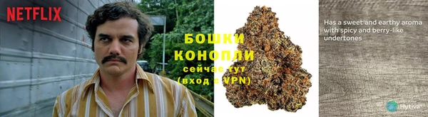 соль ск Володарск